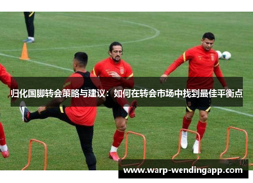 归化国脚转会策略与建议：如何在转会市场中找到最佳平衡点